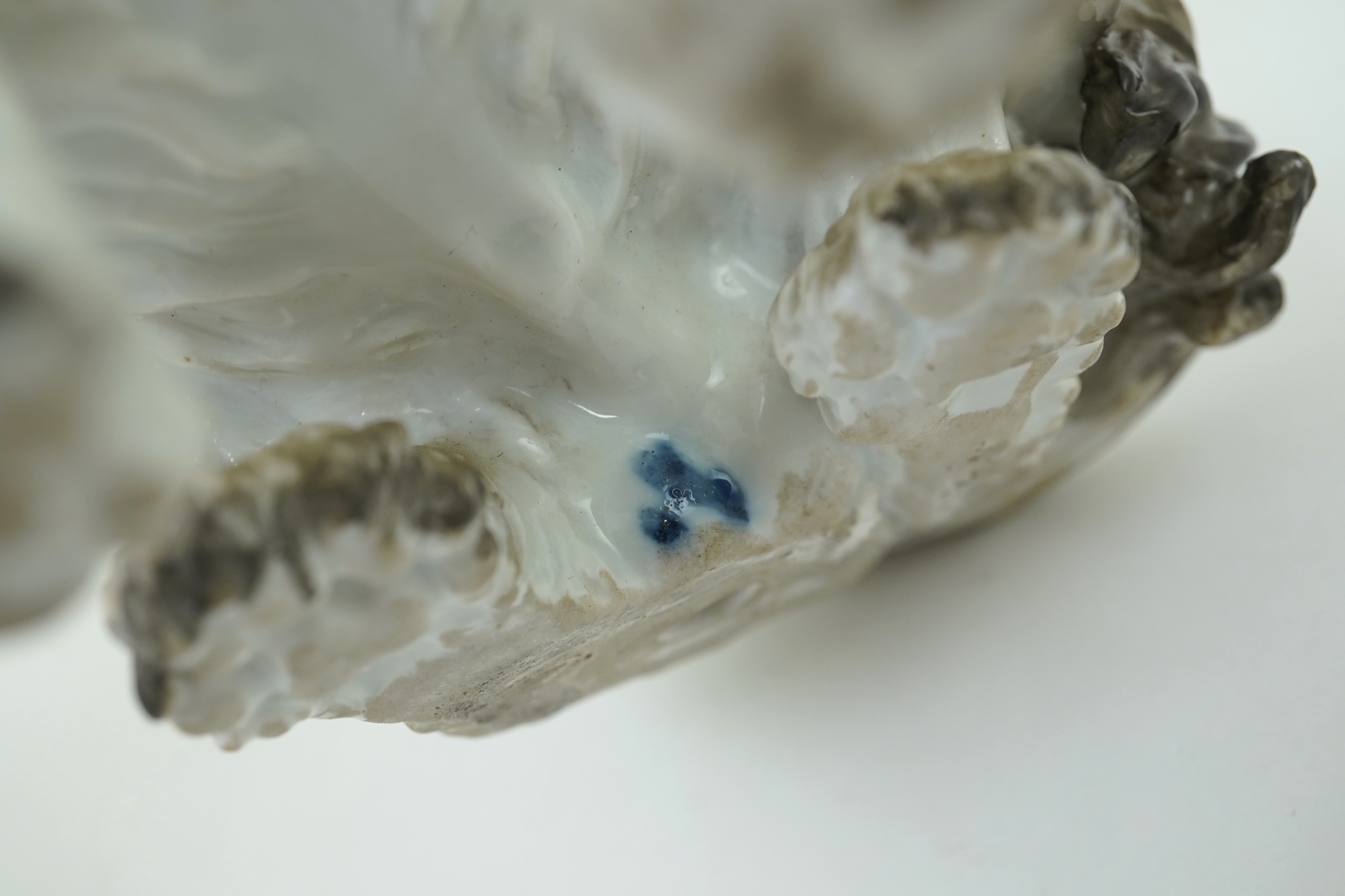 A Meissen figure of a seated Bolognese terrier, 19th century